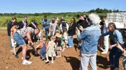 41 arbres plantés pour les naissances 2024 à Paulhan