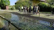 60 fermes du Gard ouvrent leurs portes pour l'opération 