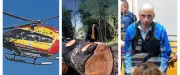 A9 : trois morts, colère contre abattage d'arbres, Jubillar devant la justice