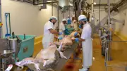 Abattoir de Saint-Affrique : la communauté de communes fait appel