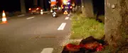 Accident spectaculaire : un scooter et un utilitaire s'embrasent après un choc avec un sanglier