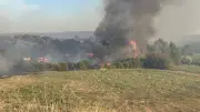 Alerte rouge incendie : Montpellier ferme zoo et réserves ce mardi 5 août