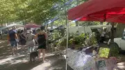 Allègre-les-Fumades adopte un compte financier unique et prépare son marché estival