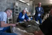 Angeac-Charente : Dans les coulisses méconnues de la restauration des fossiles de dinosaures