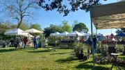 Angoulins célèbre le printemps avec sa 5e Fête des plantes et de l'artisanat