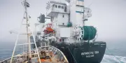 Antarctique : un chalutier norvégien percuté par un navire de Sea Shepherd