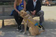 Antibes : Gérard accueille Uria, son nouveau chien guide d'aveugle