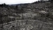 Août 2025 : incendie géant, Van Damme opéré, Malgouyres libre