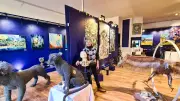 Art Fresque Povera à Sommières : un espace artistique alternatif et vivant