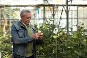 Astredhor Hyères : 40 ans au service de l'horticulture varoise