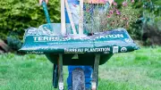 Atelier potager printanier à Villevieille : conseils pour un jardin économe en eau