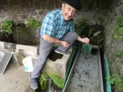 Au Pays basque, un ancien pisciculteur dépose 20 000 œufs de truite par an
