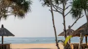 Bali : un touriste australien retrouvé sans son cœur, ses parents sous le choc