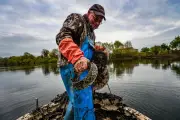 Bernard Bouladou, pêcheur reconverti en scientifique pour sauver les espèces menacées de la Dordogne