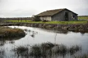 Biganos dévoile l'île de Malprat : quatre visites guidées dans le delta de la Leyre