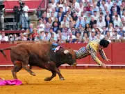 Blessures graves de Morante et Roca Rey à Séville