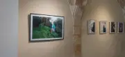 Bordeaux célèbre la photographie avec plus de 100 artistes et 38 expositions