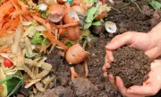Bordeaux Métropole lance des ateliers gratuits de compostage et jardinage zéro déchet