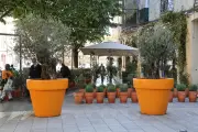 Bordeaux : un bar installe des pots de fleurs pour lutter contre le trafic de drogue