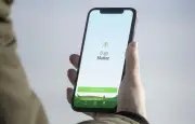 Bugs Matter : l'appli qui compte les insectes écrasés sur les plaques d'immatriculation