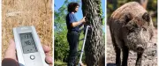Canicule, Pont du Gard, sangliers, aéroport : l'actu région