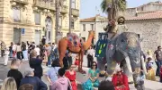 Carnaval de Villeneuve-lès-Maguelone : une édition haute en couleurs et en succès