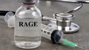 Cas mortel de rage en Occitanie : le point avec un infectiologue