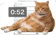 Cat Gatekeeper : une extension Chrome qui fait surgir un chat géant pour vous forcer à décrocher