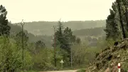 Champclauson recouvert d'un voile jaune de pollen de pins maritimes