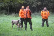 Chasse en Dordogne : hausse des dégâts et baisse des effectifs