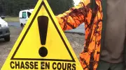 Chasse en Occitanie : moins de chasseurs mais toujours plus de sangliers