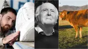 Chaussures XXL pour stars, décès de Francis Hallé, dermatose nodulaire