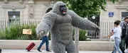Christian, le gorille géant de Montpellier, enchante la place de la Comédie