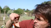 Clément Chapel sème la biodiversité fruitière lors d'un périple de 1 000 km