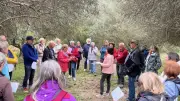 Collorgues : une balade pour découvrir les huiles essentielles contre les bobos des randonneurs