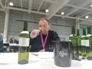 Concours de Bordeaux : 573 vins médaillés pour la 70e édition