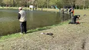 Concours de pêche à Camarès : animations et lâcher de truites au plan d'eau