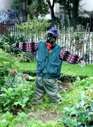 Concours d'épouvantails poétiques : les jardins partagés des Ménonnières invitent à la créativité