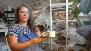 Copie de ses tasses par une grande enseigne : une céramiste sétoise s'indigne