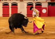 Corrida à Gamarde-les-Bains : les toros de Virgen Maria déçoivent malgré quelques éclats
