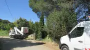 Coupure internet persistante à Saint-Alexandre : des câbles fragiles pris dans un arbre
