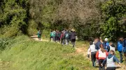 Course d'orientation à Rochefort-du-Gard : 75 élèves mobilisés pour le Grand Défi Vivez Bougez