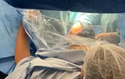 Césarienne participative à Nantes : une naissance humanisée malgré la chirurgie
