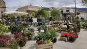 Côté jardin, côté court : le retour tant attendu de la foire printanière à La Grand-Combe