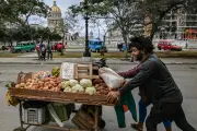 Cuba libéralise la vente des produits agricoles pour relancer sa production