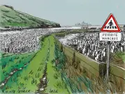 David, expert des manchots, guide une immersion dans la colonie de Crozet