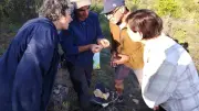 Découverte du baguage d'oiseaux avec la LPO en Aveyron