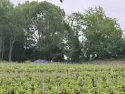 Découverte d'un corps dans la Dordogne à Asques