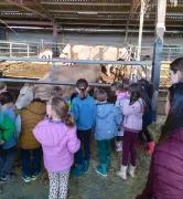 Des étudiantes en BTS agricole initient les écoliers de Montardon aux produits locaux