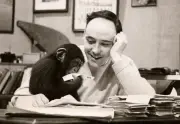 Desmond Morris, auteur du best-seller 